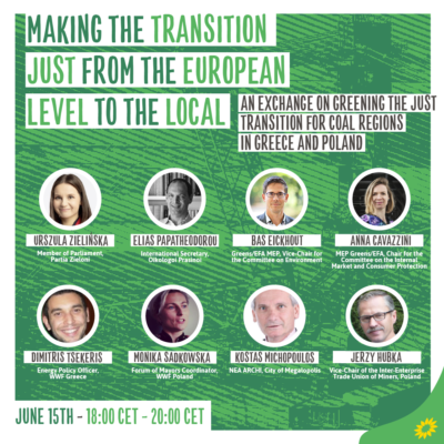 "Making the Transition Just - From the European Level to the Local" webinar by European Greens @ https://europeangreens.eu/civicrm/event/register?id=101&reset=1