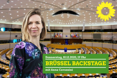 "Brüssel Backstage" beim Grünen Kreisverband Dessau-Roßlau